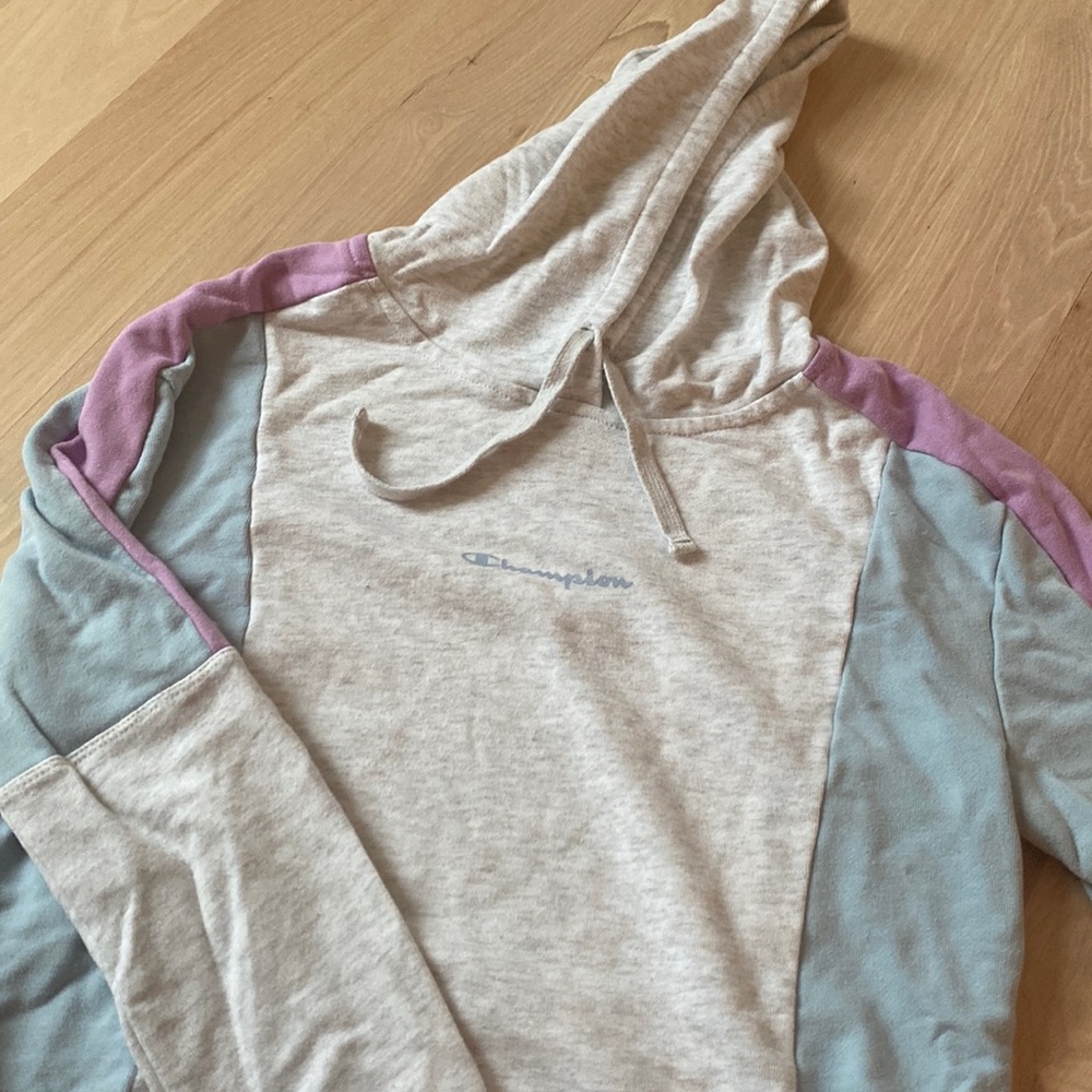 Champion hoodie